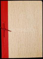 Tajvan 540 db-os gyufacímke gyűjtemény, nagyon szépen feliratozva, albumba rendezve / Taiwan match label collection