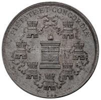 1790. "Erdély hódolata" ón emlékérem. "IMP CAES LEOPOLD II P F AVG HOMAGIVM PRAESTITVM CLAVDIOPOLI XXIII DEC MDCCXC / PIETATE ET CONCORDIA" (29.3g/48mm) T:2-