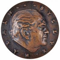 Csúcs Ferenc (1905-1999) 1970. "Sillye Kálmán" magyar numizmatikus bronz emlékérem (247.3g/73mm) T:2