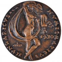 Csúcs Ferenc (1905-1999) 1970. "Sillye Kálmán" magyar numizmatikus bronz emlékérem (247.3g...