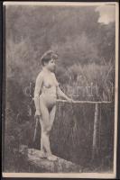 cca 1900 Akt, Künstler Akt-Studie, 9x14 cm / cca 1900 Nude photo, 9x14 cm