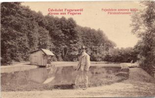 Fogaras, Fejedelem asszony kútja, Thierfeld Dávid kiadása  / fountain (EK)