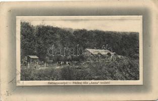 Szilágysomlyó, Páskuj féle Anna nyaraló / villa (EK)