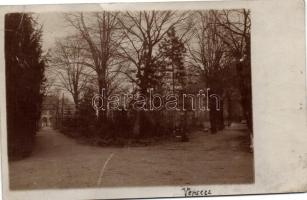 Versec, park, photo (fa)