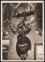 1934 gróf Széchenyi Zsigmond (1898-1967) afrikai trófeái vadászati kiállításon, hátoldalán feliratozva, 13x18 cm
