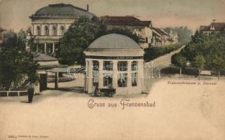 Frantiskovy Lazne, Franzensbad; - 9 old postcards