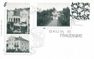 Frantiskovy Lazne, Franzensbad; - 9 old postcards