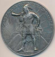 Berán Lajos (1882-1943) ~1925. "Országos Testnevelési Tanács" ezüstözött Br emlékérem (60mm) T:2