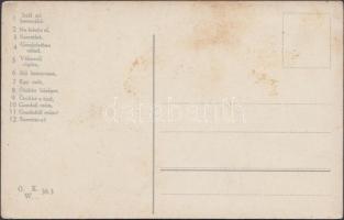 Levélbélyeg nyelv / The language of stamps, Hungarian (fl)