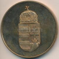 DN "Vám- és Pénzügyőrségért" aranyozott Br emlékérem (65mm) T:2