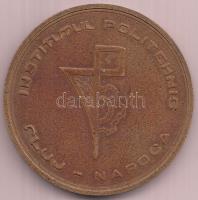 Románia 1980. "Nicolae Ceausescu és Todor Jivkov találkozása" bronz emlékérem (60mm) T:3
R...