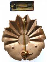 Románia 1948-1965. "Munka Érdemrend III. osztály" kitüntetés szalagsávval T:2
Romania 1948...