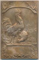 Ifj. Vastagh György (1868-1946) 1909. "Baromfitenyésztők Országos Egyesülete" egyoldalas bronz plakett (97x63mm) T:2- HP-6362