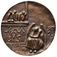 Asszonyi Tamás (1942-) 1993. "Pax Vobis" bronz emlékérem (55mm) T:2
