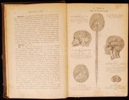 Dr. Ziffer Károly: Népszerű orvosi tanácsadó vagy házi lexikon az egészséges és beteg emberről. Két ...