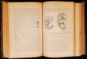 Dr. Ziffer Károly: Népszerű orvosi tanácsadó vagy házi lexikon az egészséges és beteg emberről. Két ...