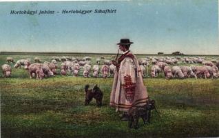 Hortobágy, juhász, juh