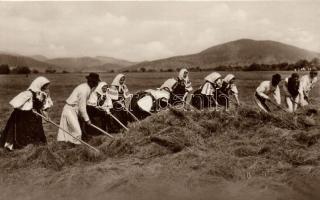 Hortobágy, Szénagyűjtés