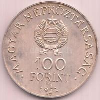1972. 100Ft Ag "Budapest" T:2