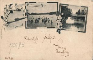 1896 (!) Siófok, floral