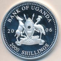 Uganda 2006. 2000Sh Ag "A labdarúgás halhatatlanjainak csarnoka - Franciaország 1980-as évek/Michel Platini" T:PP  Uganda 2006. 2000 Shilling Ag "Hall of Fame of football - France 1980's/Michel Platini" C:PP
