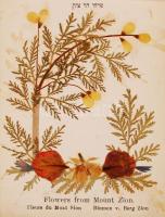 cca 1900 A Szentföld képei és virágai fa-borítású füzet a 14 képpel és szárított virágokkal. / Flowers and views of the Holy Land. 14 pictures and dried flowers in wood covered booklet. 17x11 cm