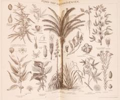 A Pallas Nagy Lexikona Az összes ismeretek enciklopédiája. 1–18. kötet pótkötetekkel (telj...