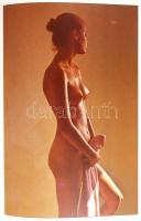 The best of David Hamilton. Swan Pruductions 1976. 144p. Akt fotó album / Book of nude photos
