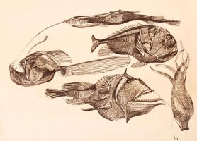 Eigel István (1922-2000): Szörnyvilág. Tus, papír, jelzett. 27x18 cm