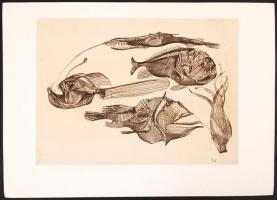 Eigel István (1922-2000): Szörnyvilág. Tus, papír, jelzett. 27x18 cm