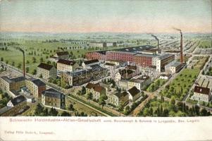 Olszyna Langenöls, Schlesische Holzindustrie-Aktiengesellschaft / factory