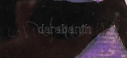 Németh Miklós (1934-2012): Bohóc. Vízfesték, papír, üvegezett keretben, 30x46 cm