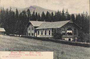 Tátra Matlárháza hotel (small tear)