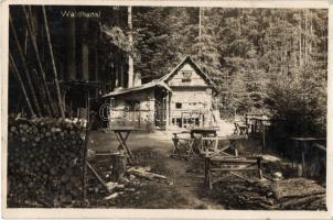 Mariazell, Waldhansl, forest cottage