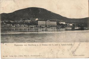 Hainburg, K.u.K. Tabak-Fabrik / Tobacco factory (wet damage)