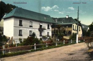 Körmöcbánya, Quissisana fürdő; Ritter Sándor kiadása / spa