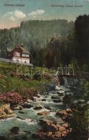 Körmöcbánya, Zólyomvölgy, Árpád-nyaraló; Ritter Sándor kiadása / villa