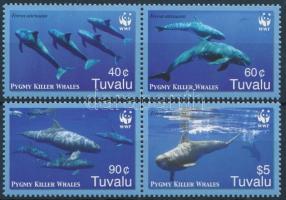 WWF: Törpe kardszárnyú delfinek sor párokban, WWF: Pygmy killer whales set in pairs