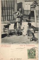 Constantinople, Les Chiens errant / stray dog (EK)