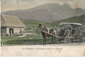 Zakopane, Skibówki, Giewont mountain (EK)