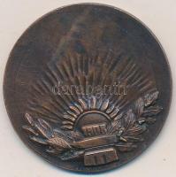 Ripszám Henrik (1889-1976) DN "Munkás Testedző Egyesület" Br emlékérem (39mm) T:2