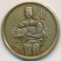 1950. "Szerencsét hozok" Cu szerencspénz T:2-