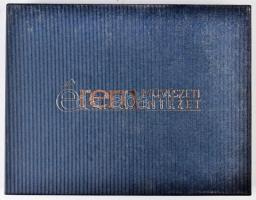 Éremtartó kazetta 1 kivehető tálcával, összesen 24 férőhellyel használt, de újszerű állapotban