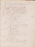 Idea Universi Iuris Hungarici. Latin ynelvű, kézzel írott könyv, 1720-ból, kartonált kötés, jó állapotban.