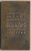 Madarassy Walter (1909-1994) 1947. "Budapest Székesfőváros Vízművek" Br emlékplakett (81x4...