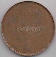 Franciaország 1984. "Francia Tenisz Szövetség" Br emlékérem. Szign.: J.L. Cadart (68mm) T:...