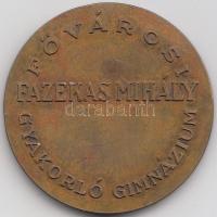 Képíró Zoltán (1944-1981) "Fazekas Mihály Érdemérem / Fővárosi Fazekas Mihály Gyakorló Gimnázium" Br kitüntetés (38mm) T:2