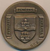Olcsai Kiss Zoltán (1895-1981) DN "Budapest Főváros Tanácsa" Br emlékérem (70mm) T:2