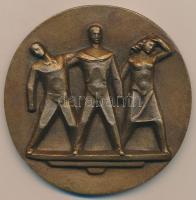 Olcsai Kiss Zoltán (1895-1981) DN "Budapest Főváros Tanácsa" Br emlékérem (70mm) T:2