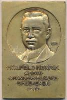 Berán Lajos (1882-1943) 1932. "Holfeld Henrik a BBTE örökös m. elnöke emlékének / Láng-Miticzky Tibornak aemlékezésül a Holfeld Henrik bridzs-csapatversenyre 1933. november 2-5. BBTE (Babes-Bolyai Tudományegyetem" aranyozott Br emlékplakett (62x41mm) T:2